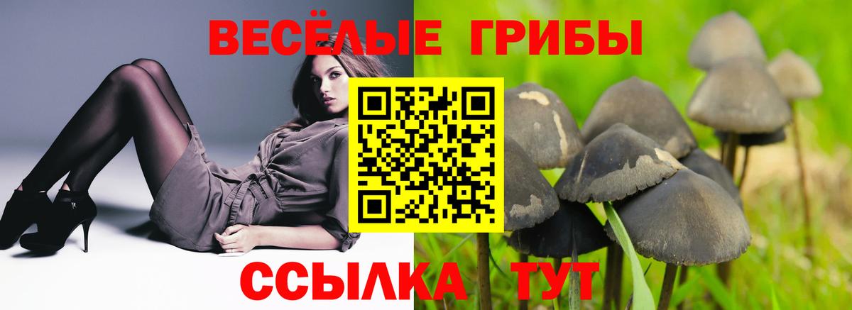 Псилоцибиновые грибы Cubensis Набережные Челны